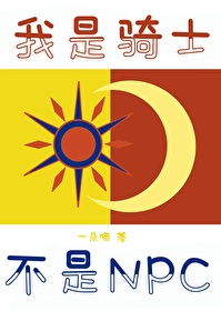 我是騎士，不叫NPC