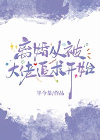 離婚從被大佬追求開始