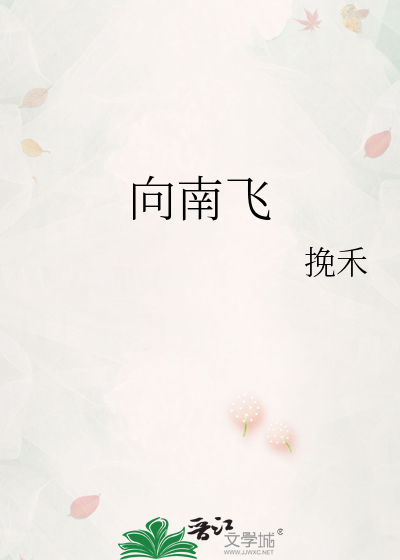 向南飛
