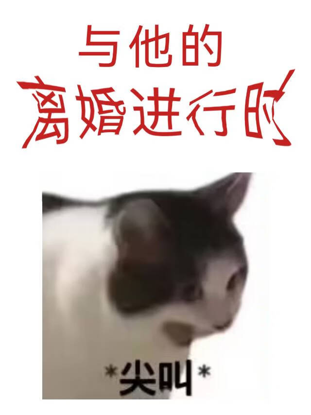與他的離婚進行時［gb］