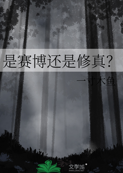 是賽博還是修真？