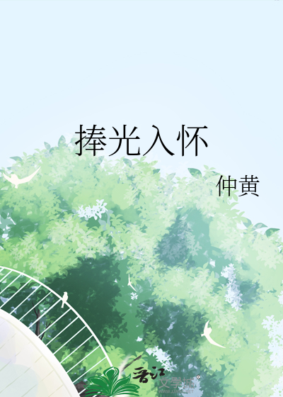 捧光入懷