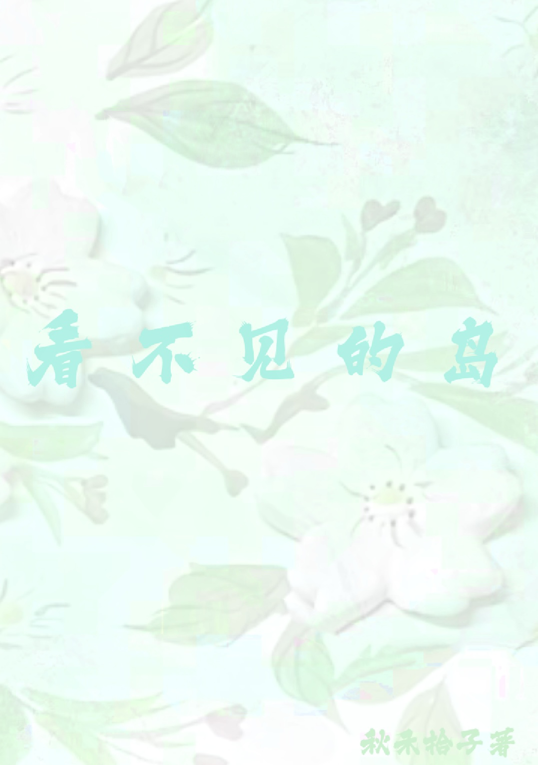 看不見的島
