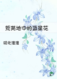 荒蕪地中的藍星花