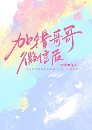 加錯哥哥微信後