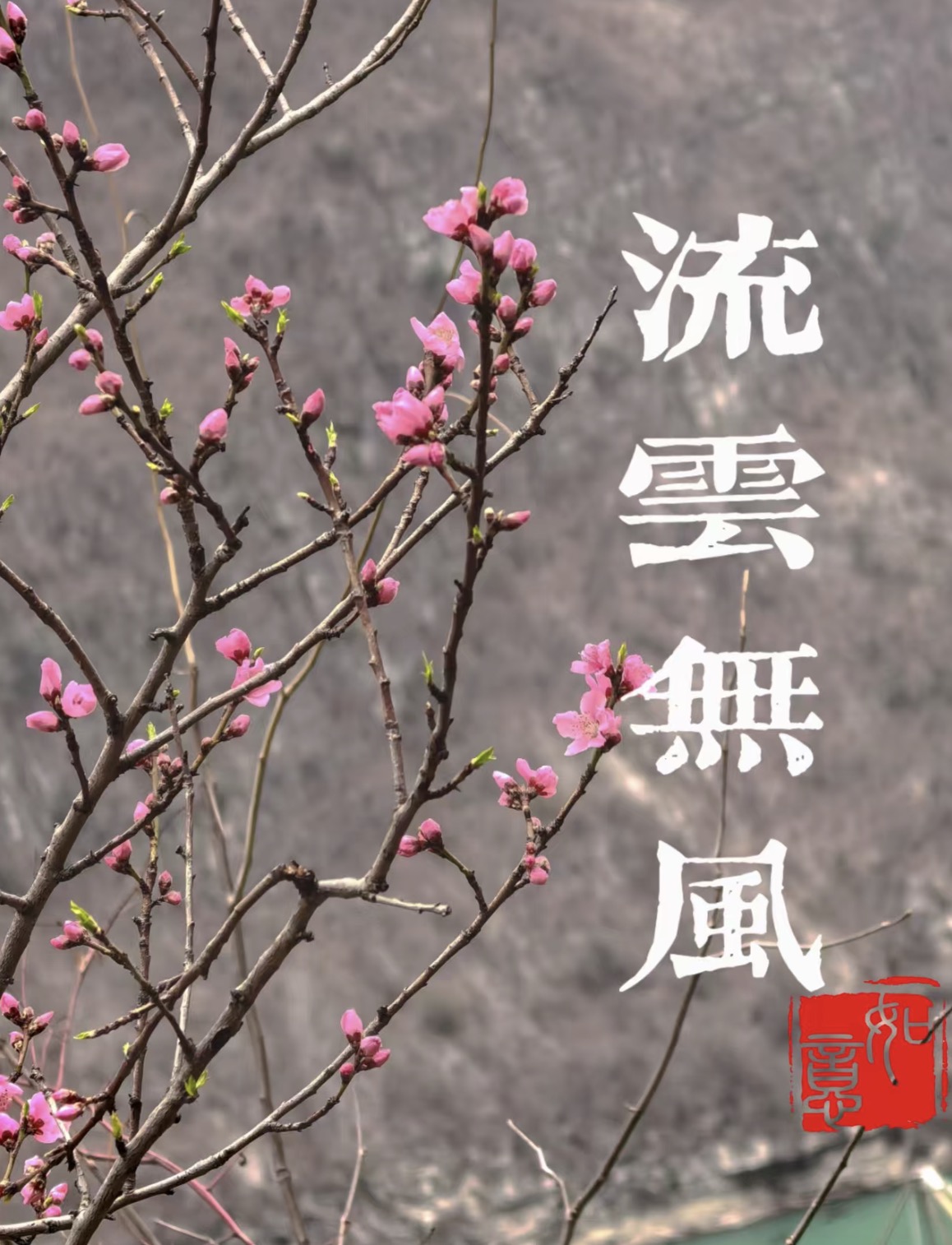 流雲無風