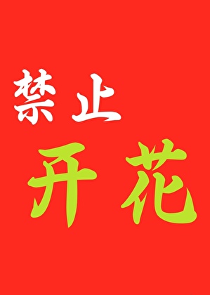 白切黑向導她有點強