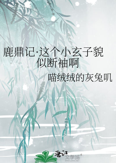 鹿鼎記·這個小玄子貌似斷袖啊