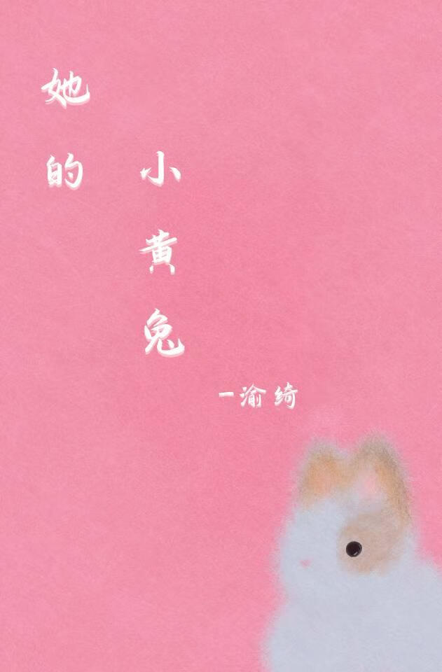 她的小黃兔