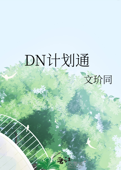 DN計劃通
