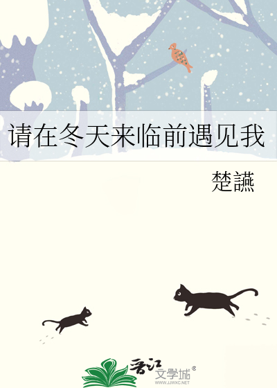 請在冬天來臨前遇見我