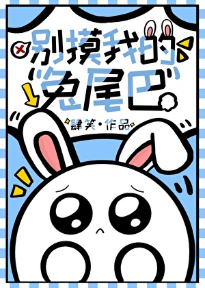 開機甲的小兔叽