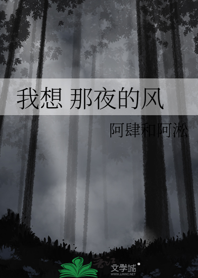 我想 那夜的風