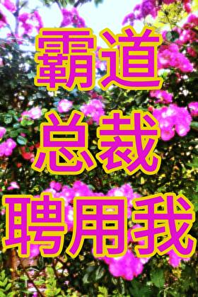 霸道總裁聘用我