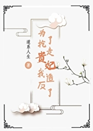 為了搶走貴妃我造反了