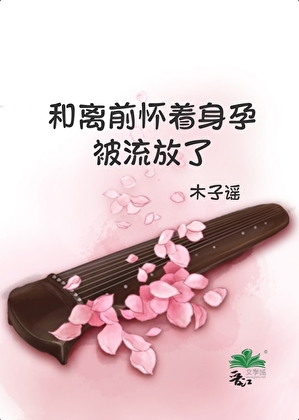 和離前懷着身孕被流放了