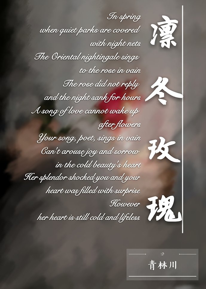 [冬兵]凜冬玫瑰