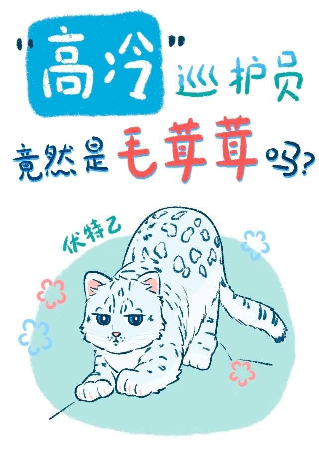 黏人精雪豹裝什麼高冷巡護員？