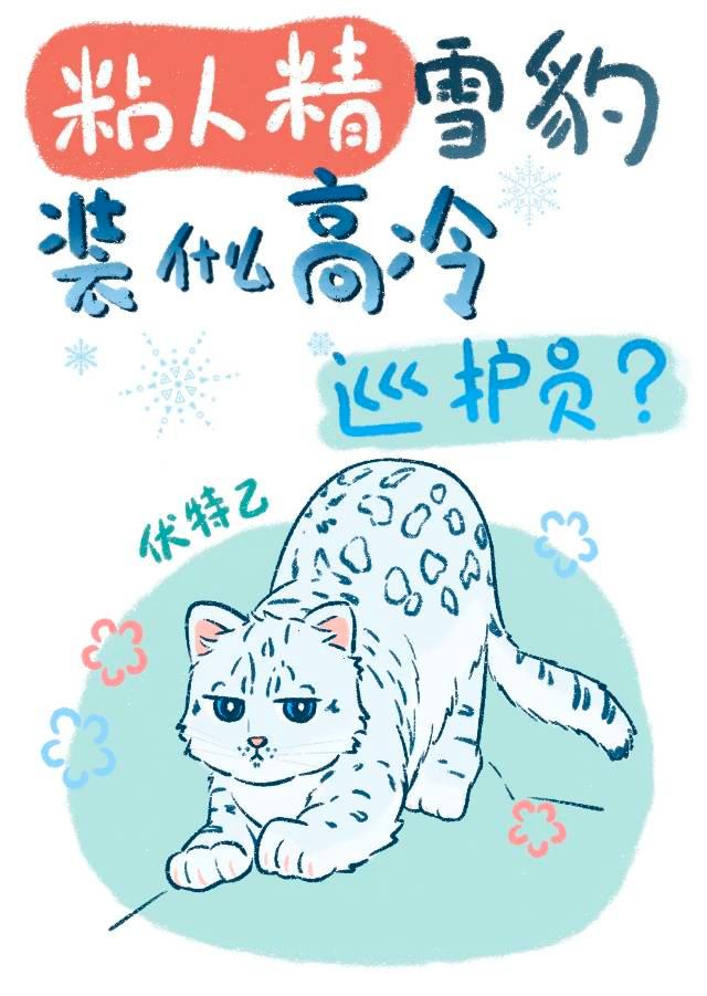 粘人精雪豹裝什麼高冷巡護員