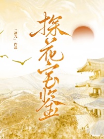 [綜武俠]探花寶鑒