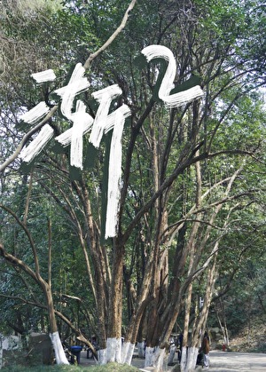 漸漸