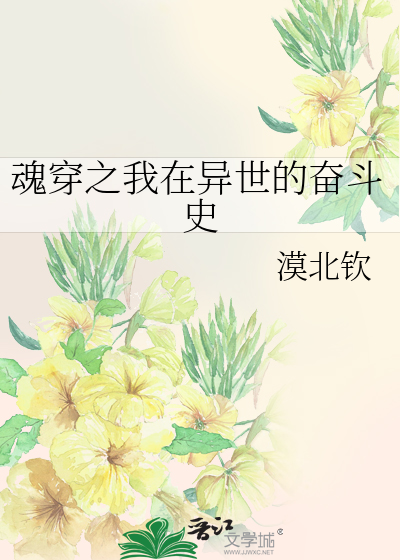 魂穿之我在異世的奮鬥史