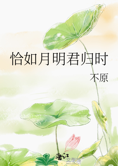 恰如月明君歸時