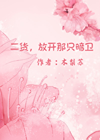 二貨，放開那隻暗衛