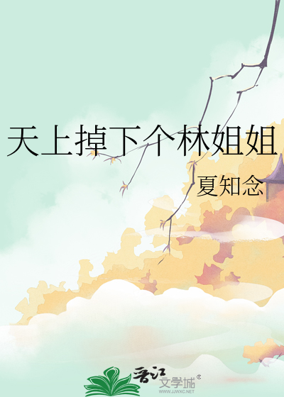天上掉下個林姐姐
