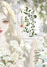 惡毒菟絲花但釣系萬人迷