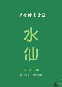 親愛的宋青窈
