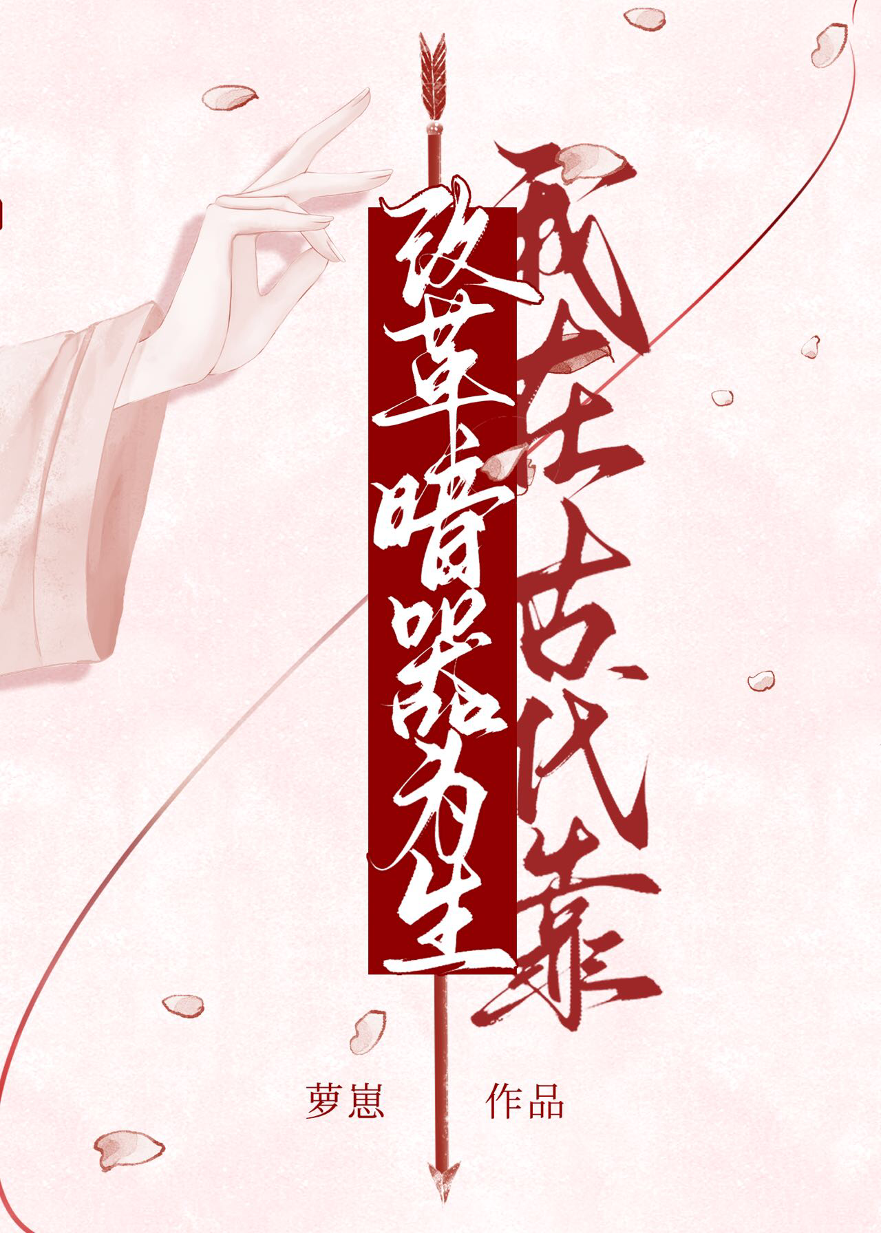 我在古代靠改革暗器為生