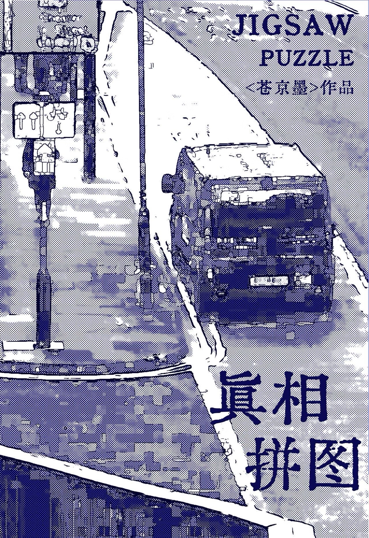 真相拼圖