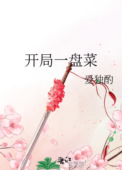 開局一盤菜