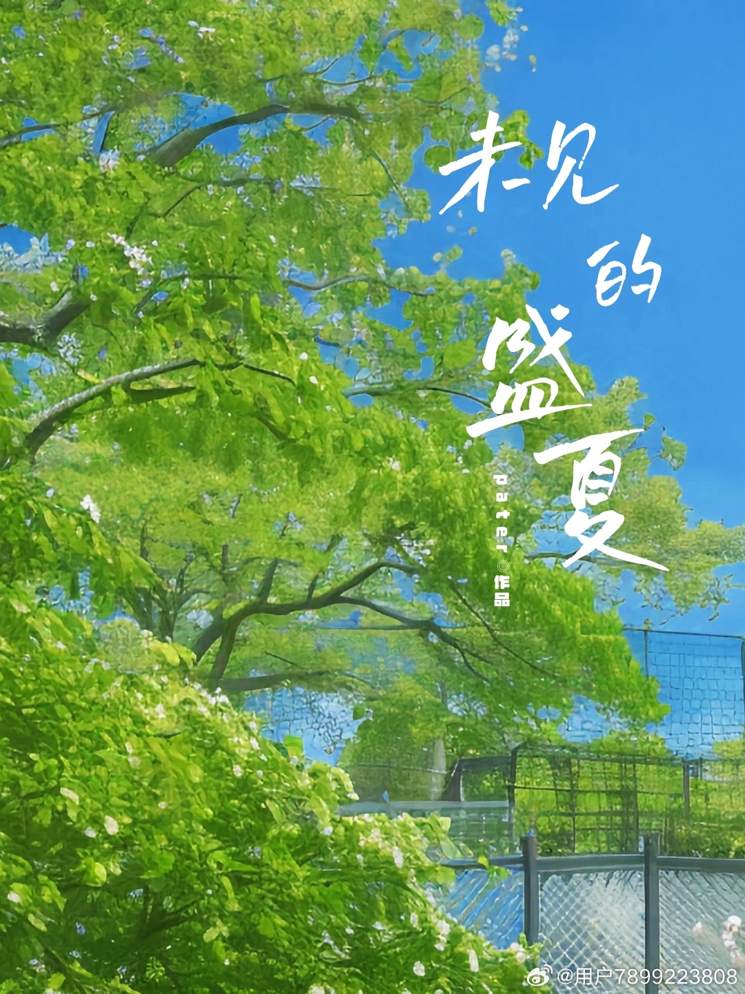 未見的盛夏