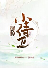 偏愛小侍衛（重生）