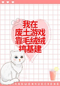 和毛絨絨在廢土基建