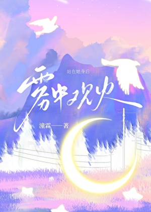 霧中觀火
