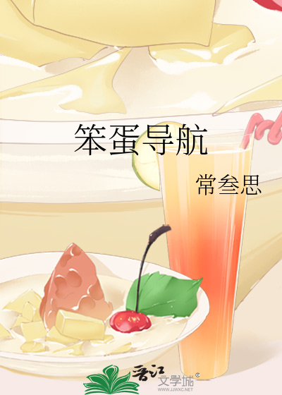笨蛋導航