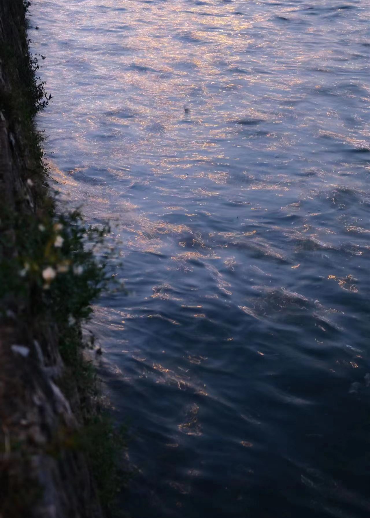 殺死吾愛