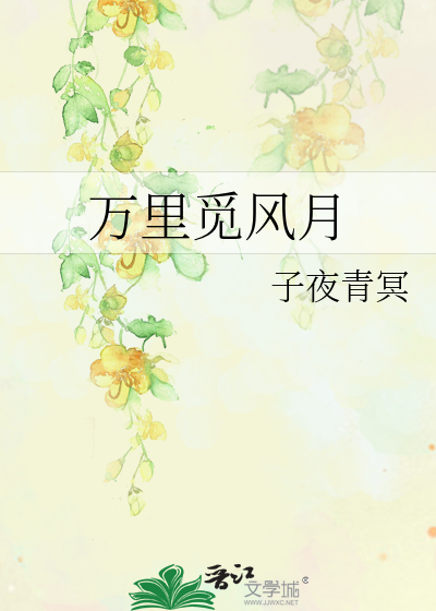 萬裡覓風月