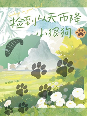 撿到從天而降小狼狗