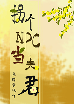 拐個NPC當夫君