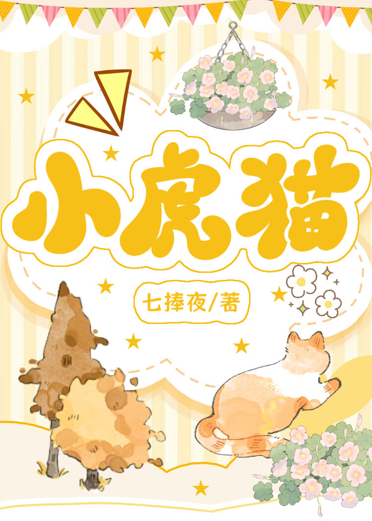 小虎貓