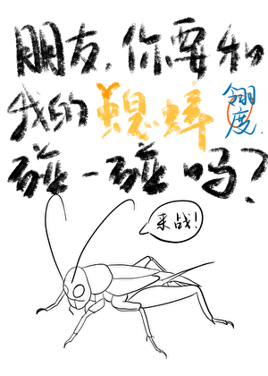朋友，你要和我的蟋蟀碰一碰嗎？