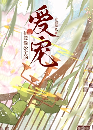 公主與賊